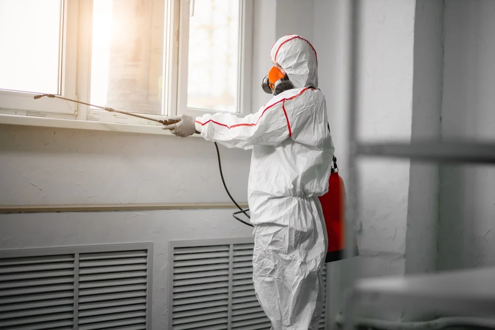 Professional mold remediation services in Covington, IN